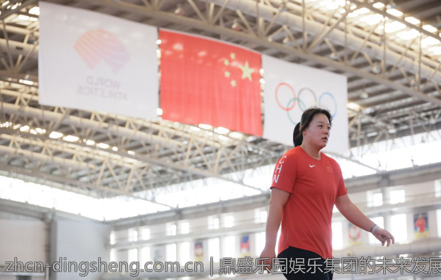 鼎盛乐园娱乐集团的未来发展趋势